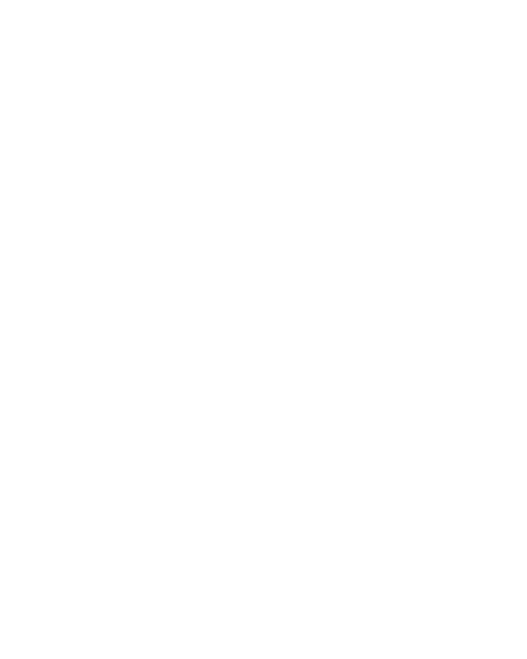 Sistemas de Seguridad Bühler